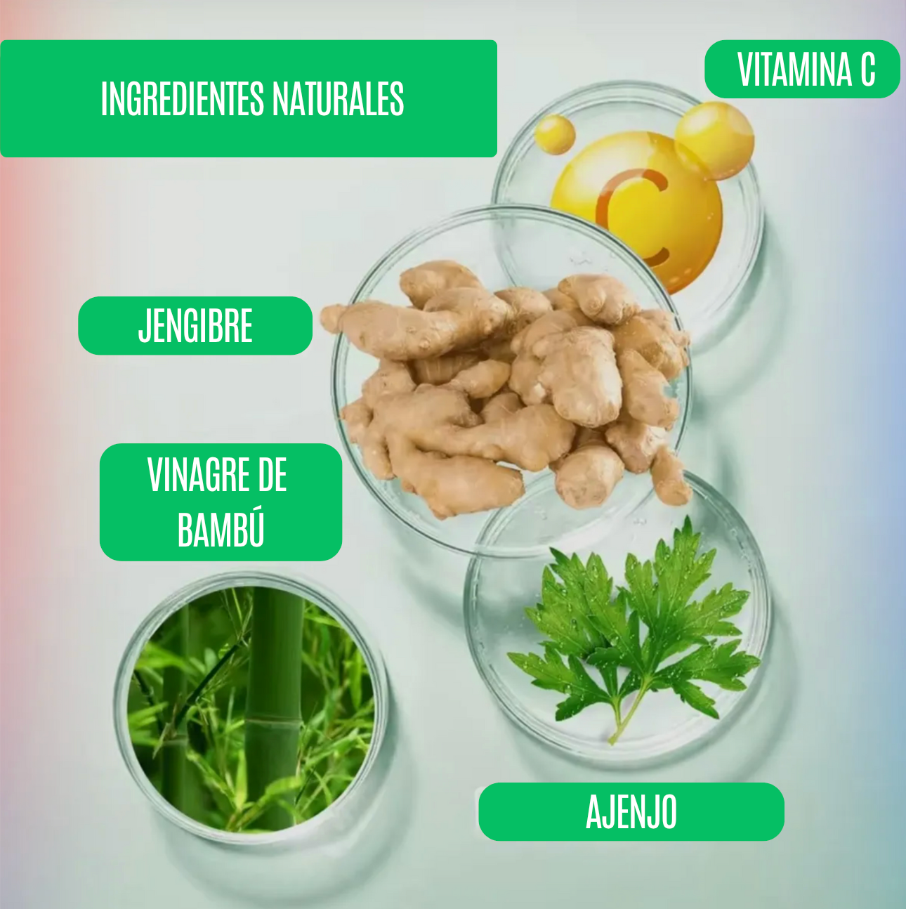 Parche Desintoxicante Kinoki